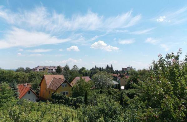 Ferienwohnung Bencze Vendeghaz Zalakaros Exterior foto